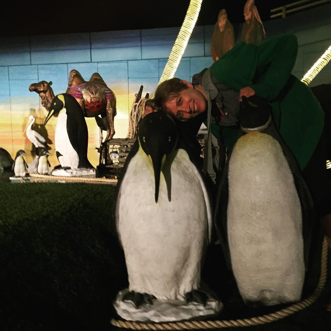 debbie-penguins-j